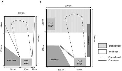 Review of Temporary Crating of Farrowing and Lactating Sows